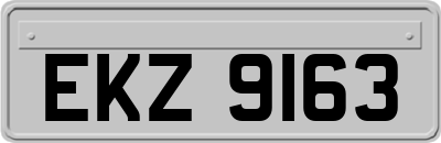 EKZ9163