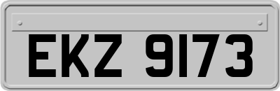 EKZ9173