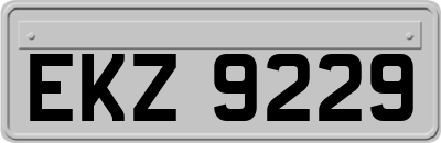 EKZ9229