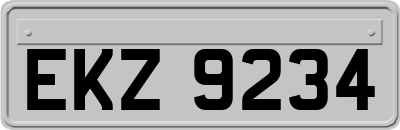 EKZ9234