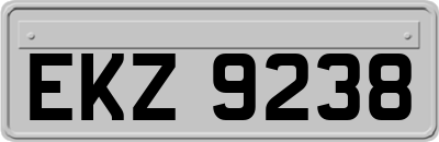 EKZ9238