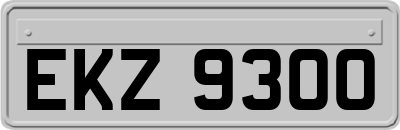 EKZ9300