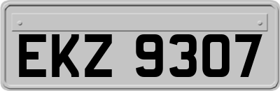 EKZ9307