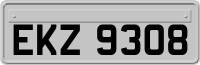 EKZ9308