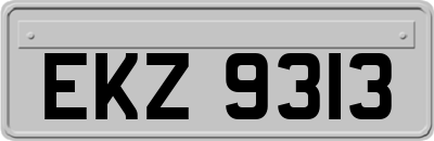 EKZ9313
