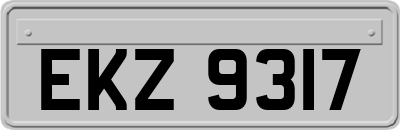 EKZ9317