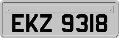 EKZ9318