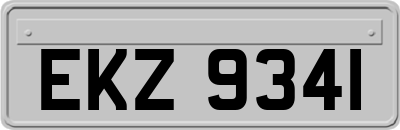 EKZ9341