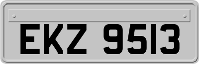 EKZ9513
