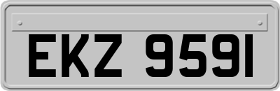 EKZ9591