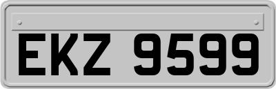 EKZ9599