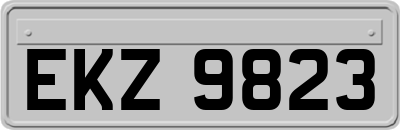 EKZ9823