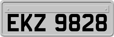 EKZ9828