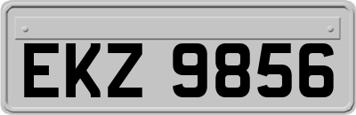 EKZ9856