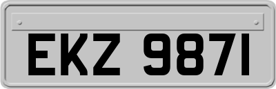 EKZ9871