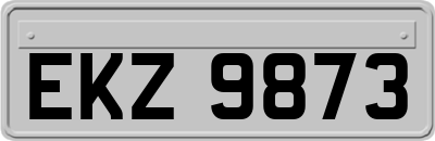 EKZ9873