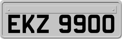 EKZ9900