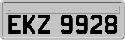 EKZ9928