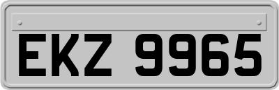 EKZ9965