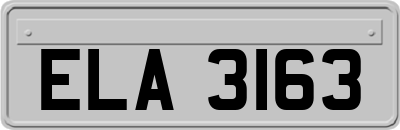 ELA3163