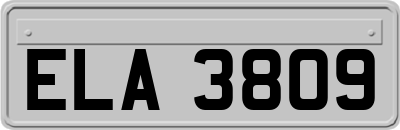 ELA3809