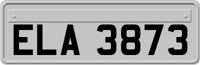 ELA3873