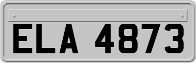 ELA4873