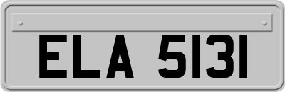 ELA5131