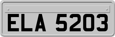 ELA5203