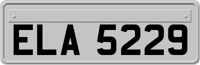 ELA5229