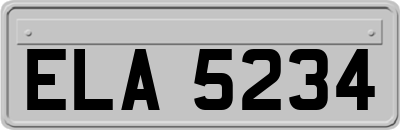 ELA5234