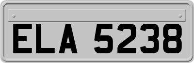 ELA5238
