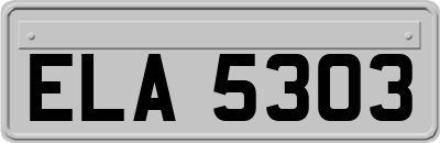 ELA5303