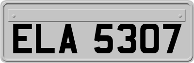 ELA5307