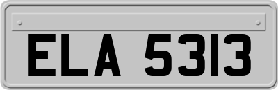 ELA5313
