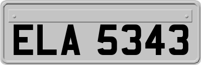 ELA5343