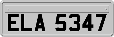 ELA5347