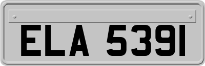 ELA5391