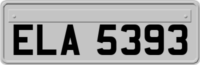 ELA5393