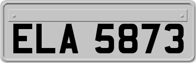 ELA5873