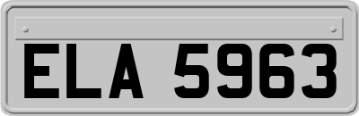 ELA5963
