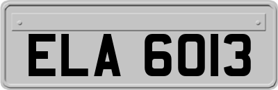 ELA6013