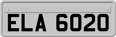 ELA6020