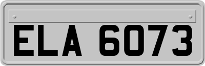 ELA6073