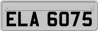ELA6075