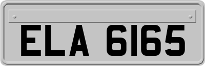 ELA6165