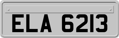 ELA6213