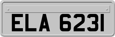 ELA6231