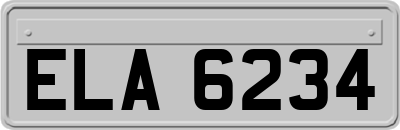 ELA6234