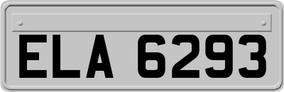 ELA6293